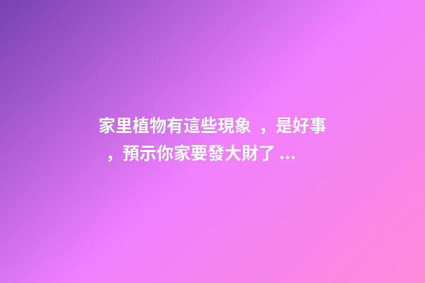家里植物有這些現象，是好事，預示你家要發大財了！